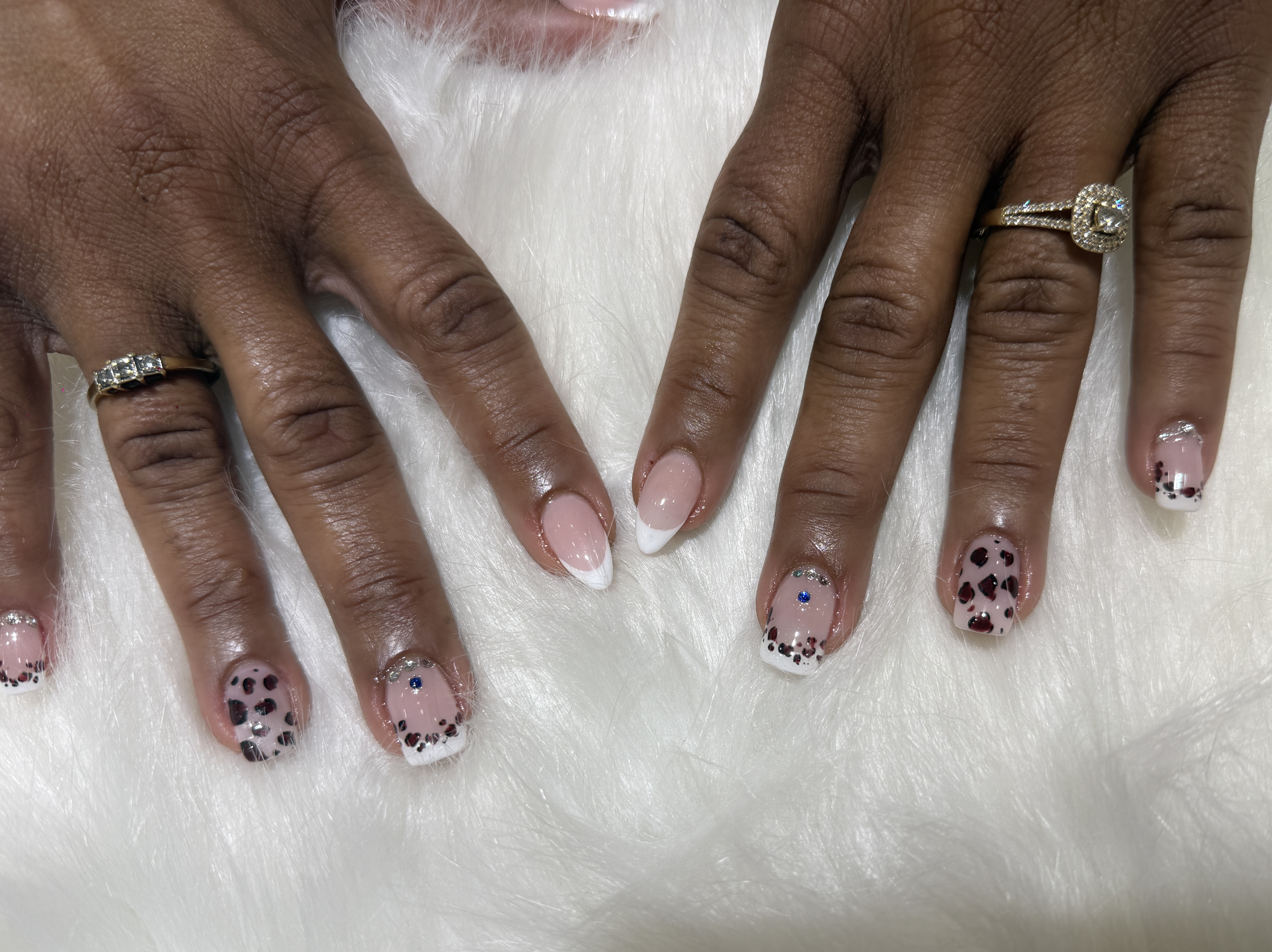 Fairy Nail  gallery
