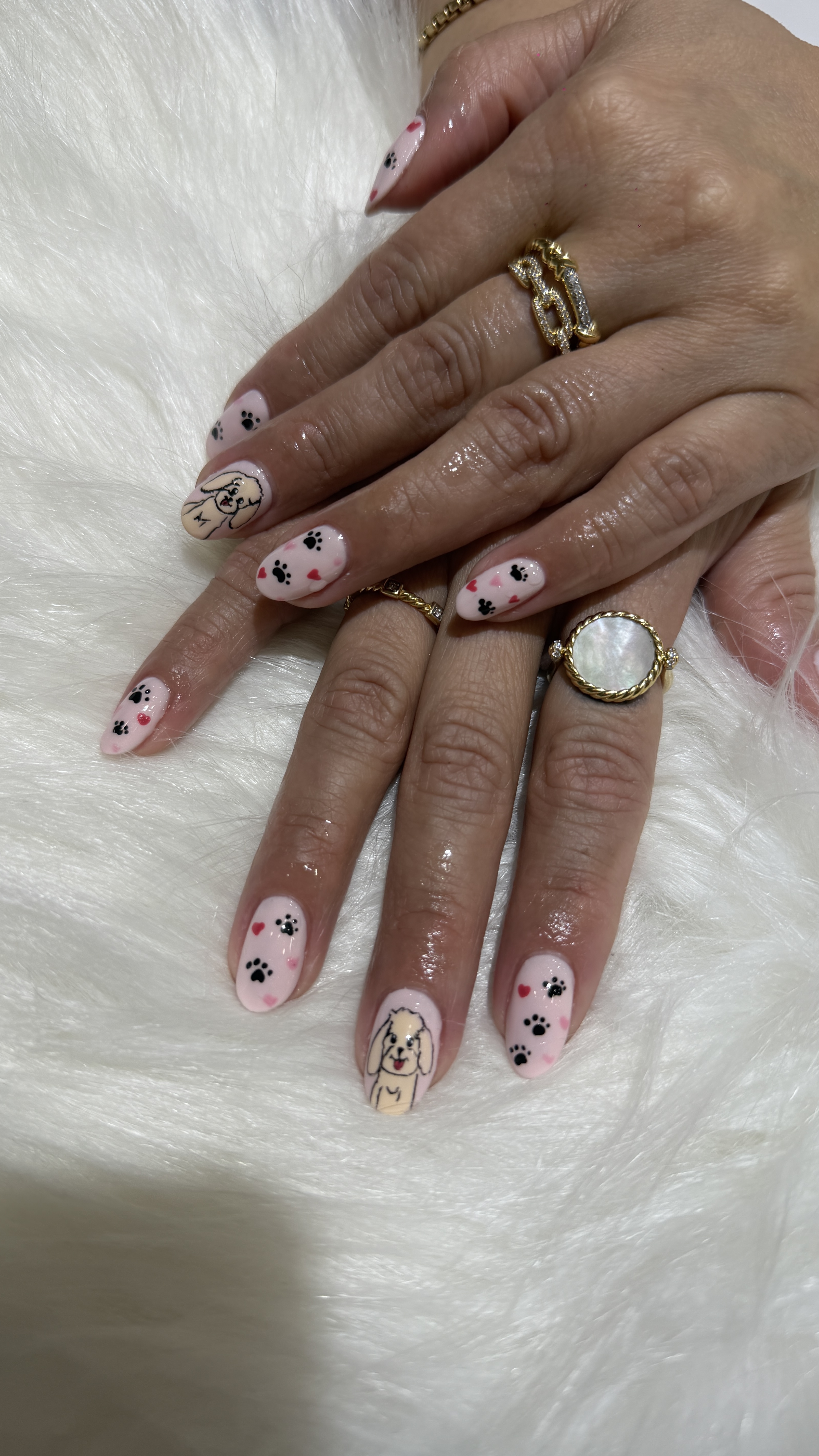 Fairy Nail  gallery