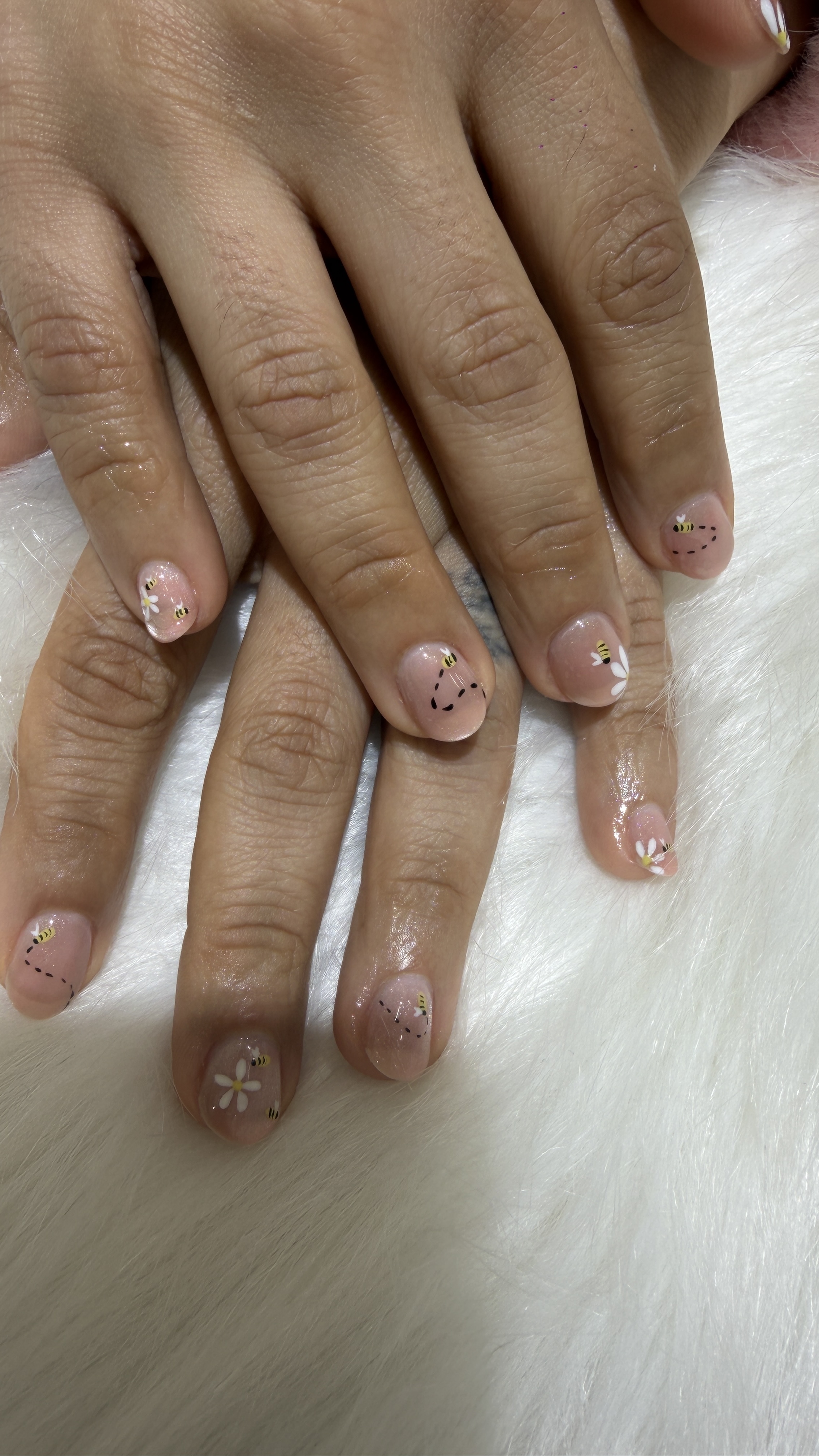 Fairy Nail  gallery