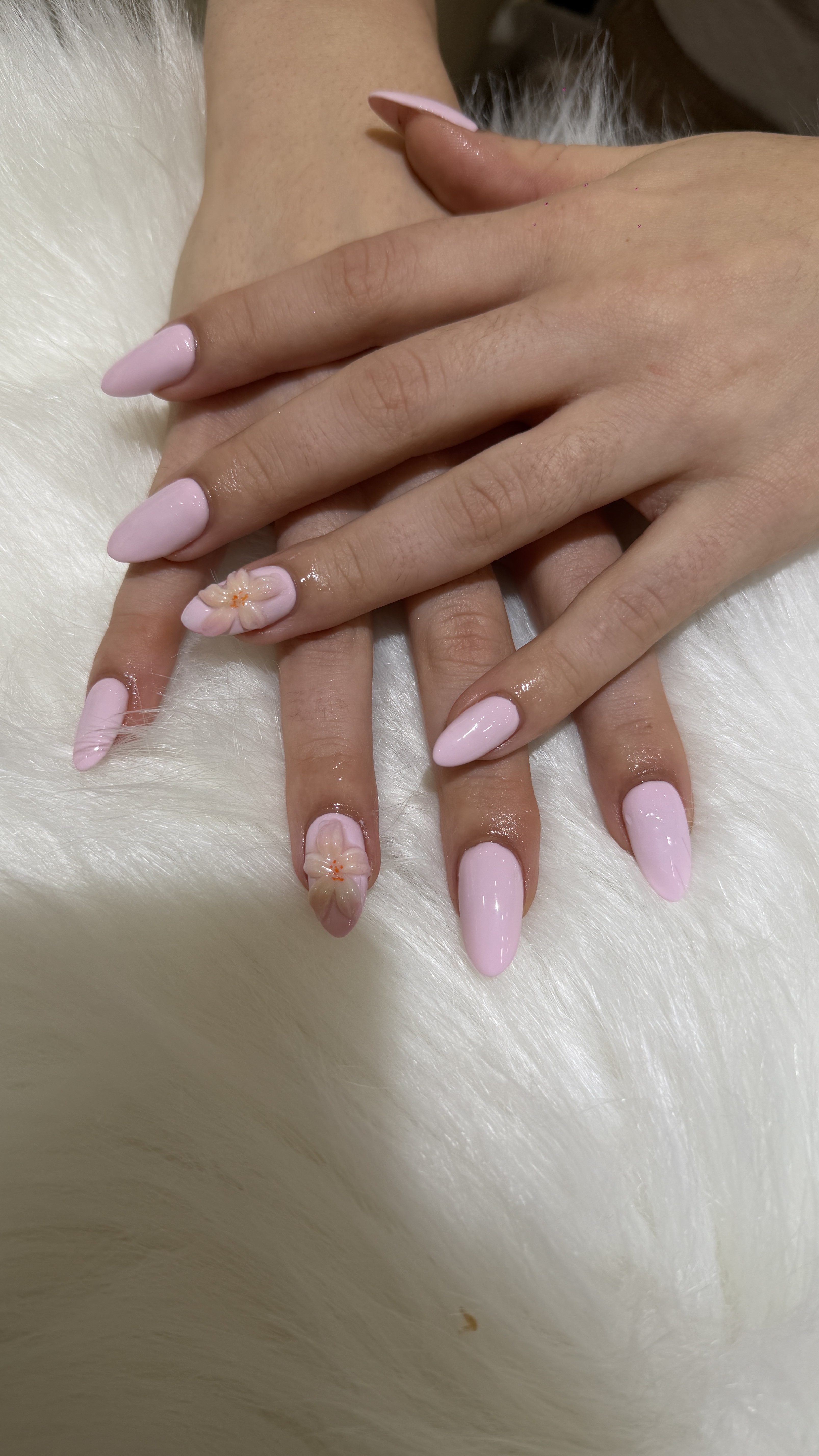 Fairy Nail  gallery